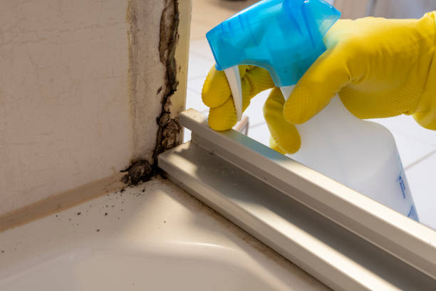 Best Mold Testing  in Granbury, TX