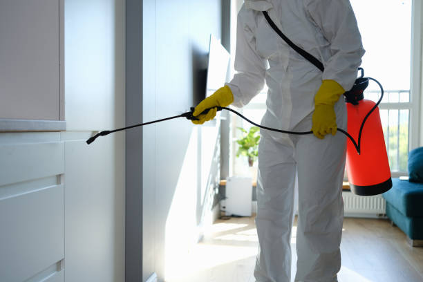 Best Commercial Mold Removal  in Granbury, TX