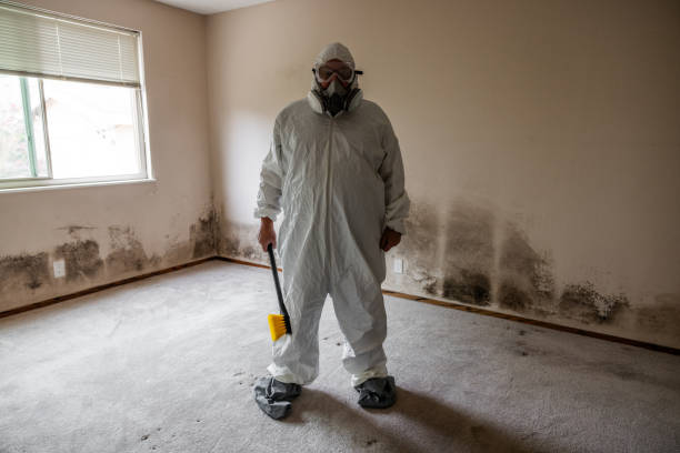 Best Residential Mold Removal  in Granbury, TX