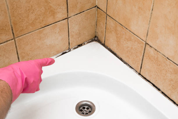 Best Toxic Mold Removal  in Granbury, TX